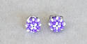 Lavender/white small bead stud earrings